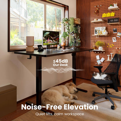 Height Adjustable Electric Sit/Standing Desk